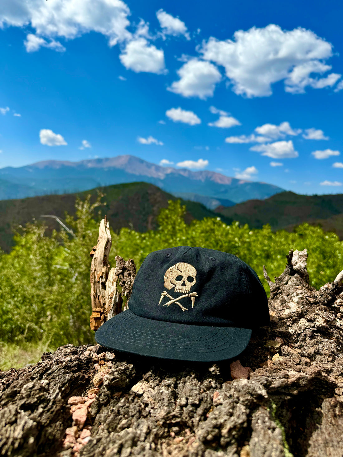 Embroidered Skull And Crossbones Hat